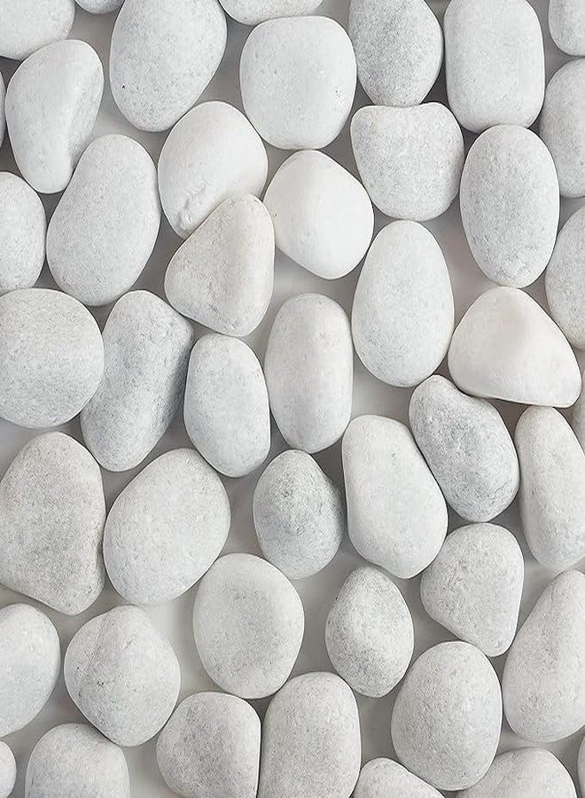 Maalavya Pebbles for |Garden & Home Décor|Aquarium|Vase fillers|Table| Etc (White 30 to 90 MM, Unpolished 5 Kg) - Image 1